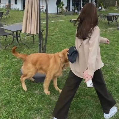 古镇凶灵之巫咒缠身