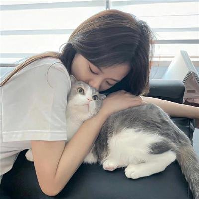 乐队男孩:从何而来